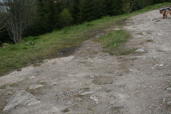 IMG_6641.jpg